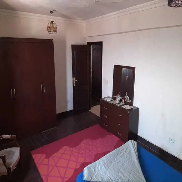 Available now: furnished apartment for rent in Degla, Maadi