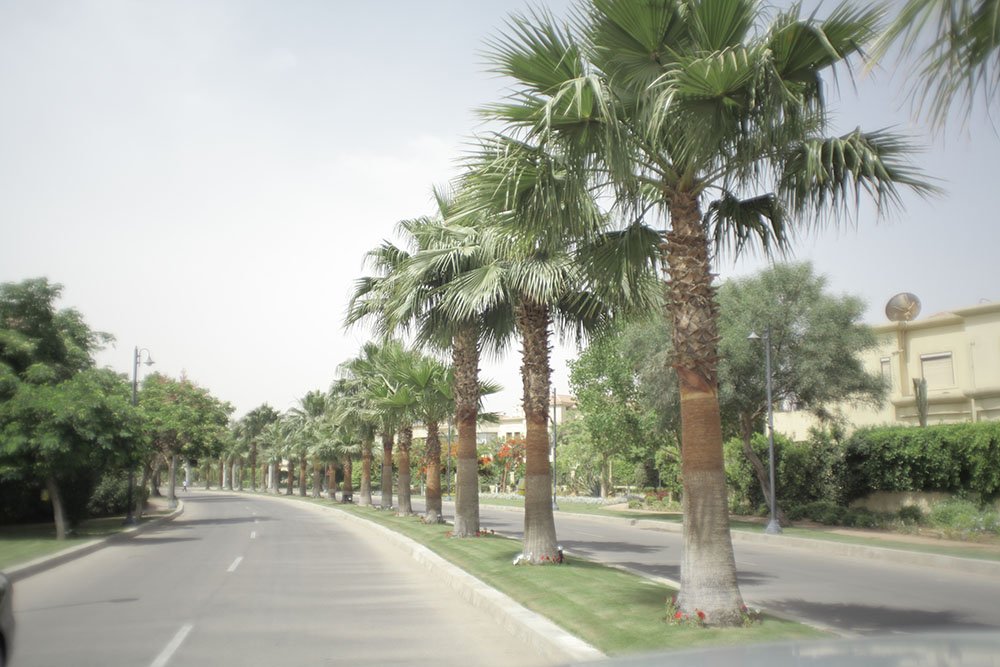 Gardenia Park I 6 0ctober city Giza Egypt Gardenia Park I 6 0ctober city Giza Egypt