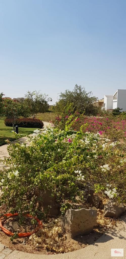 Freistehende Villa zur Miete, modern möbliert in Algerien Golf Beverly Hills Sodic El Sheikh Zayed