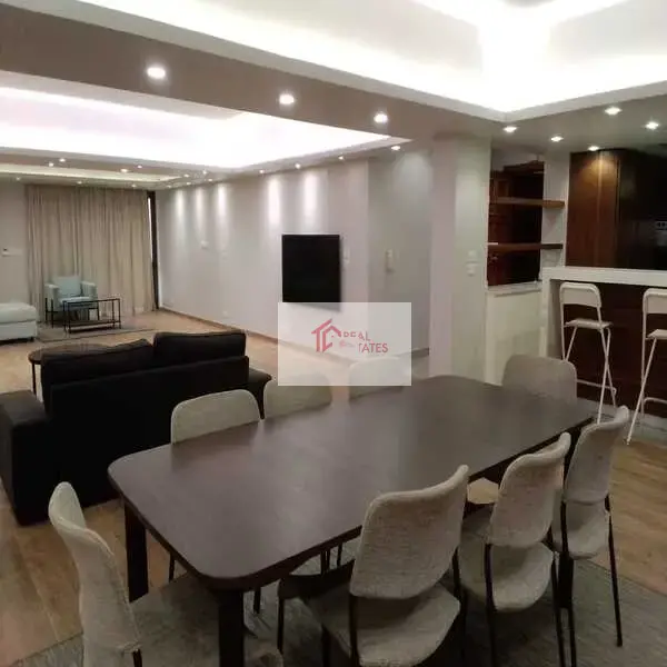 Modern Apartment furnished 3 bedrooms 3 bathrooms shard rooftop Degla Maadi Cairo Egypt