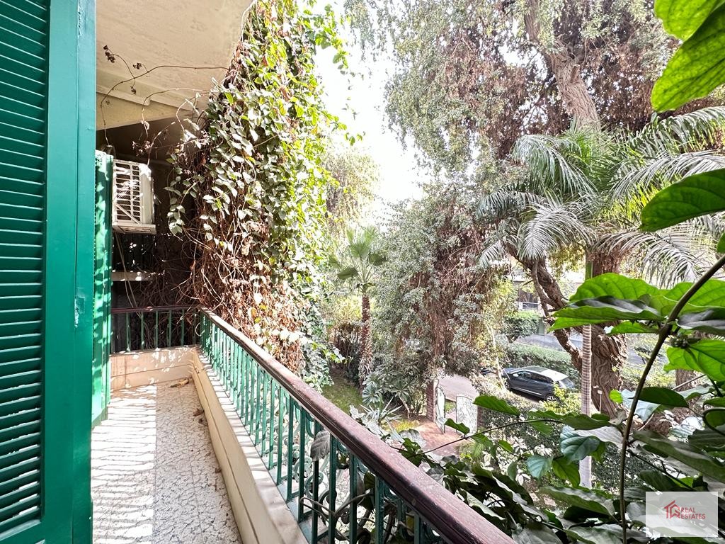 埃及開羅馬迪薩拉亞特令人驚嘆的公寓出租
