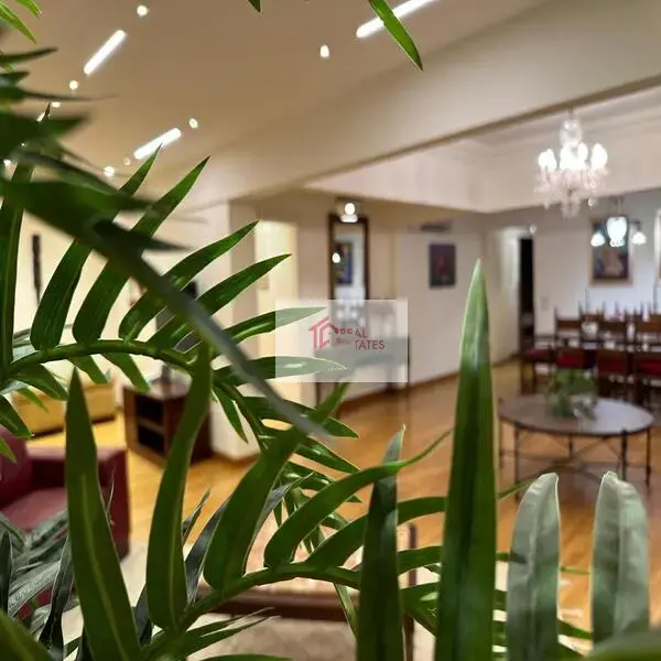 Furnished apartment rent new maadi Cairo Egypt