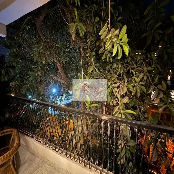 Furnished apartment rent new maadi Cairo Egypt