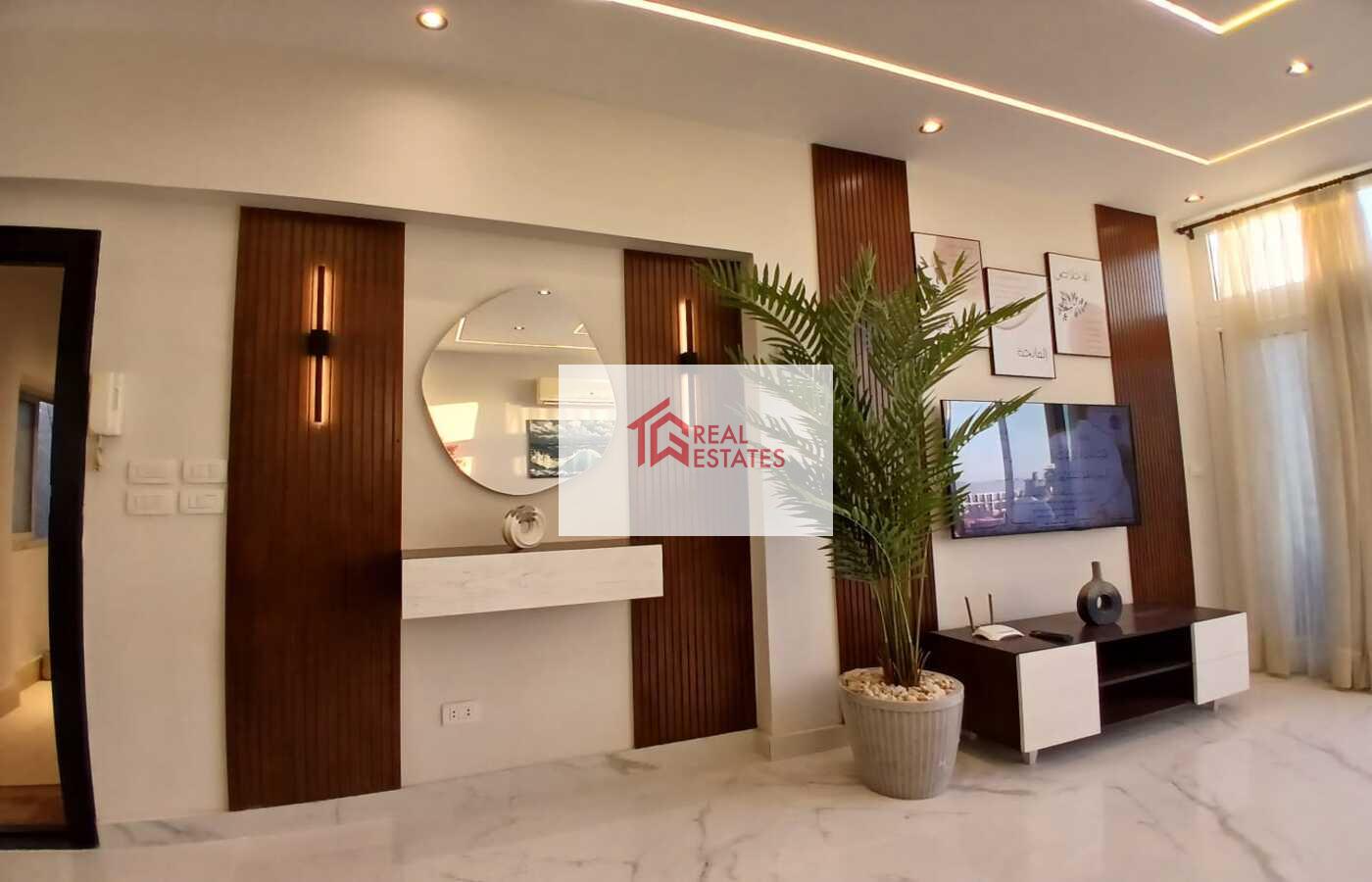 Penthouse uLtra modern for rent fully Furnished maadi degla egypt