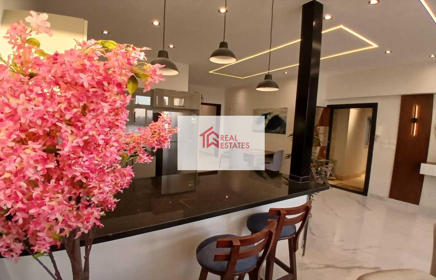 Penthouse uLtra modern for rent fully Furnished maadi degla egypt