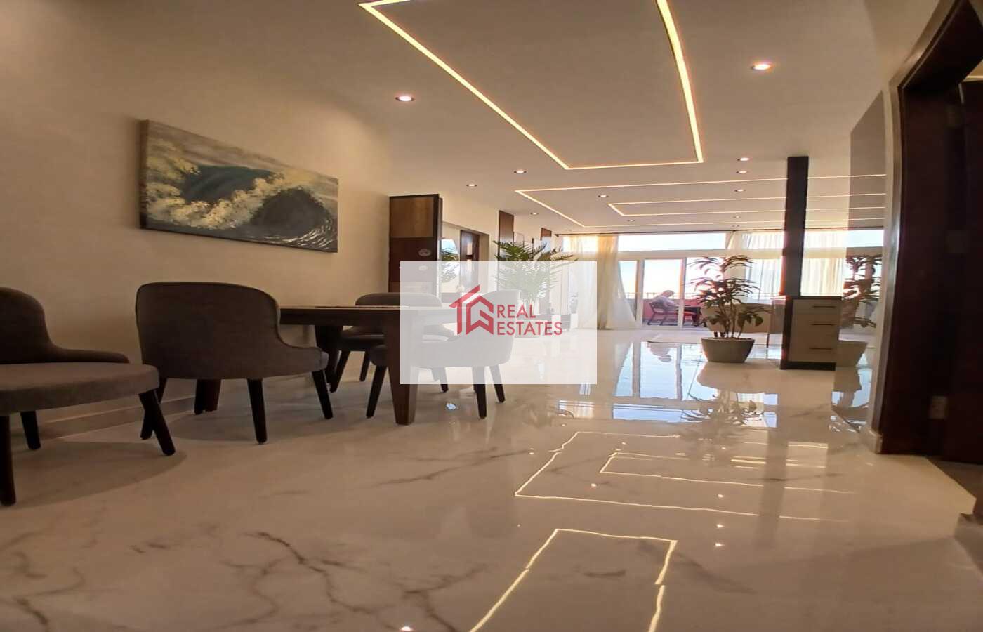 Penthouse uLtra modern for rent fully Furnished maadi degla egypt