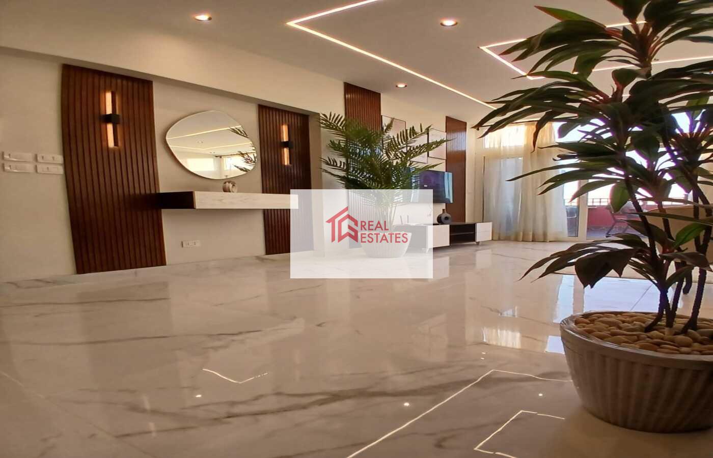 Penthouse uLtra modern for rent fully Furnished maadi degla egypt