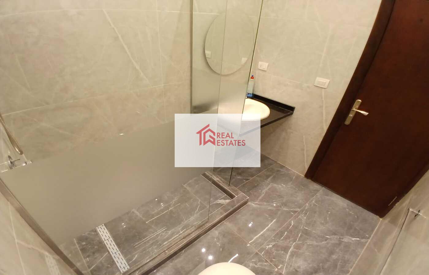 Penthouse uLtra modern for rent fully Furnished maadi degla egypt