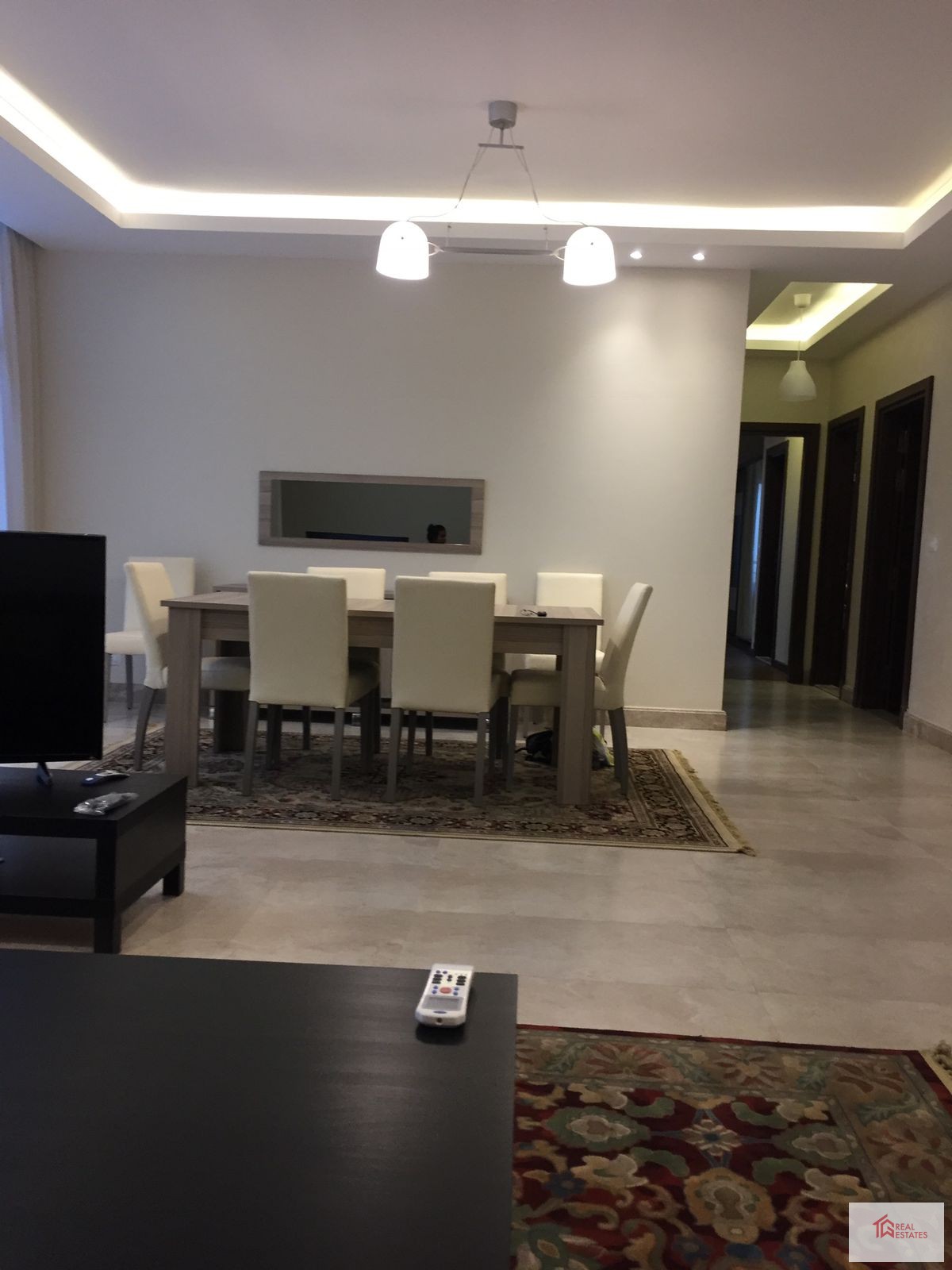 埃及新開羅 WATERWAY 公寓出租現代家具